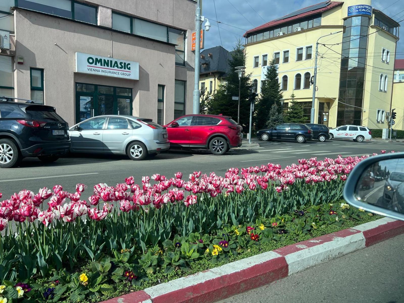 Central-Home Zsilvásárhely Kültér fotó